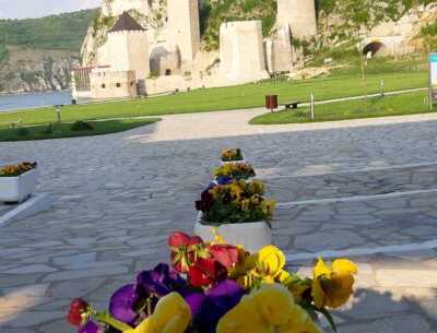 Golubačka tvrđava – manastir Tumane – manastir Nimnik